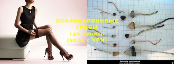 винт Белокуриха