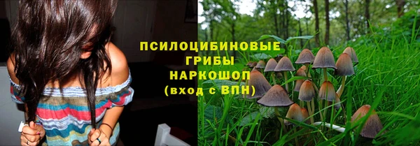 2c-b Беломорск