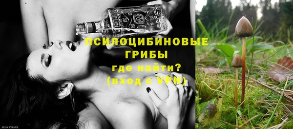 винт Белокуриха